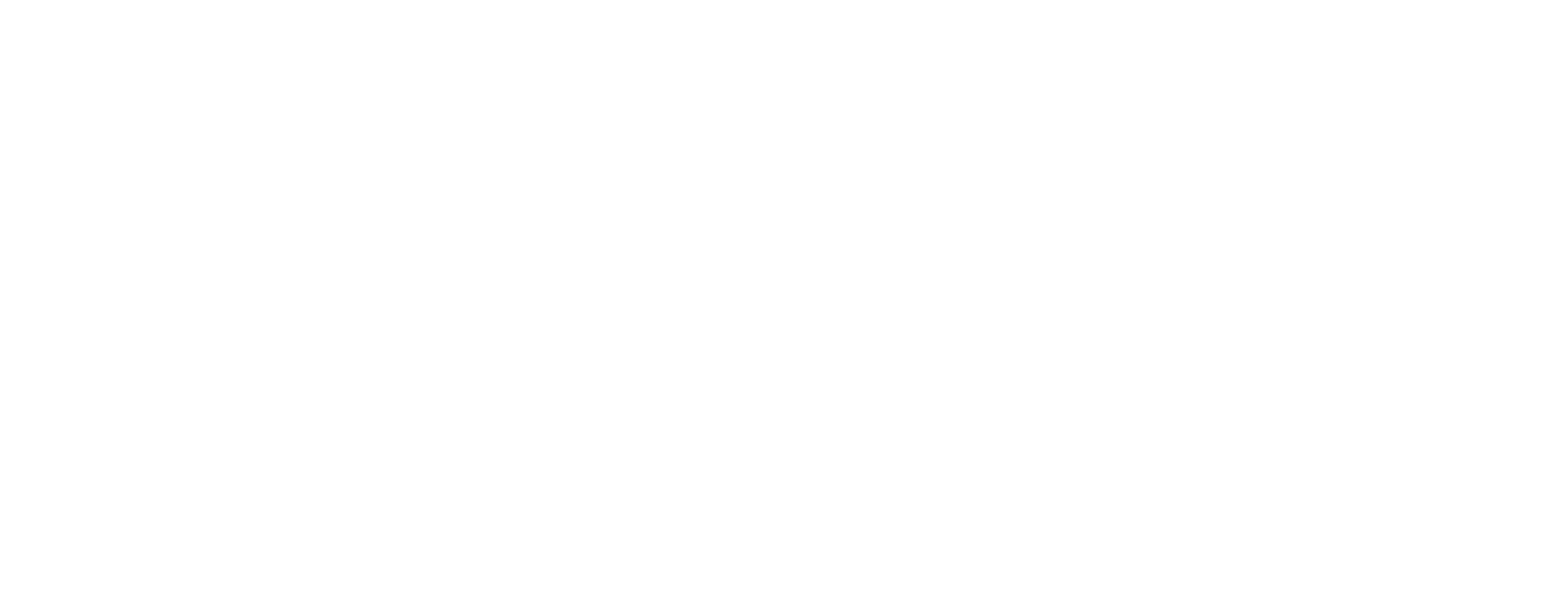 https://kafimartin.com/wp-content/uploads/2025/09/Care-in-Action-Logo-White-scaled.png